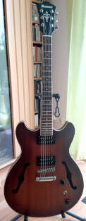 Semi-Hollow-Gitarre